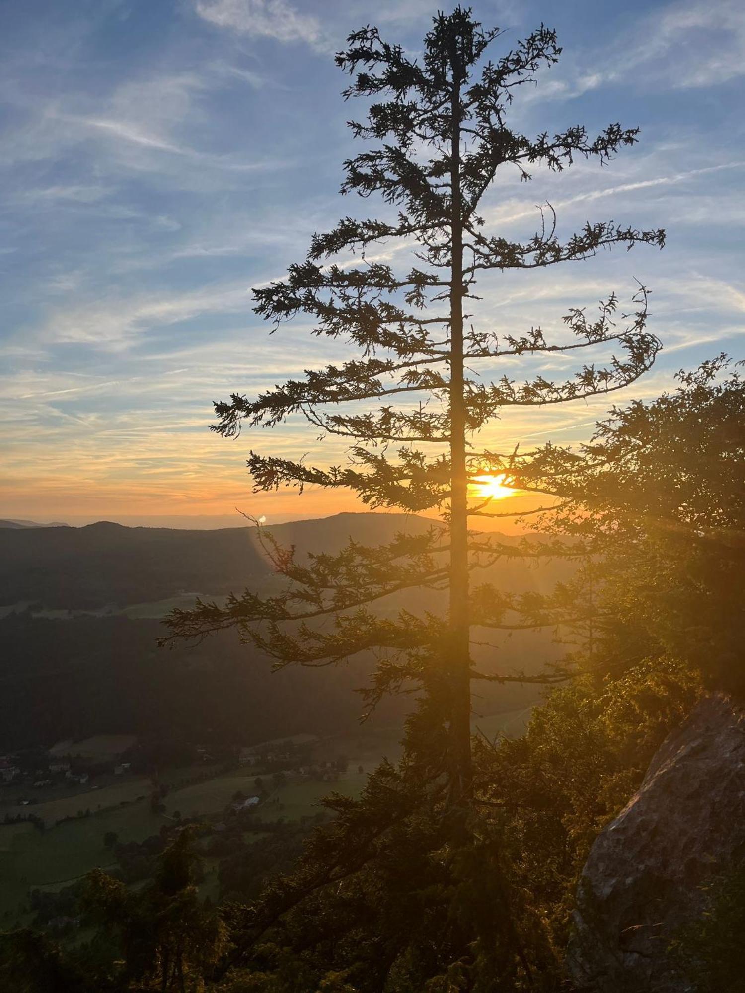 Gite La Morandiere Saint-Martin-en-Vercors エクステリア 写真