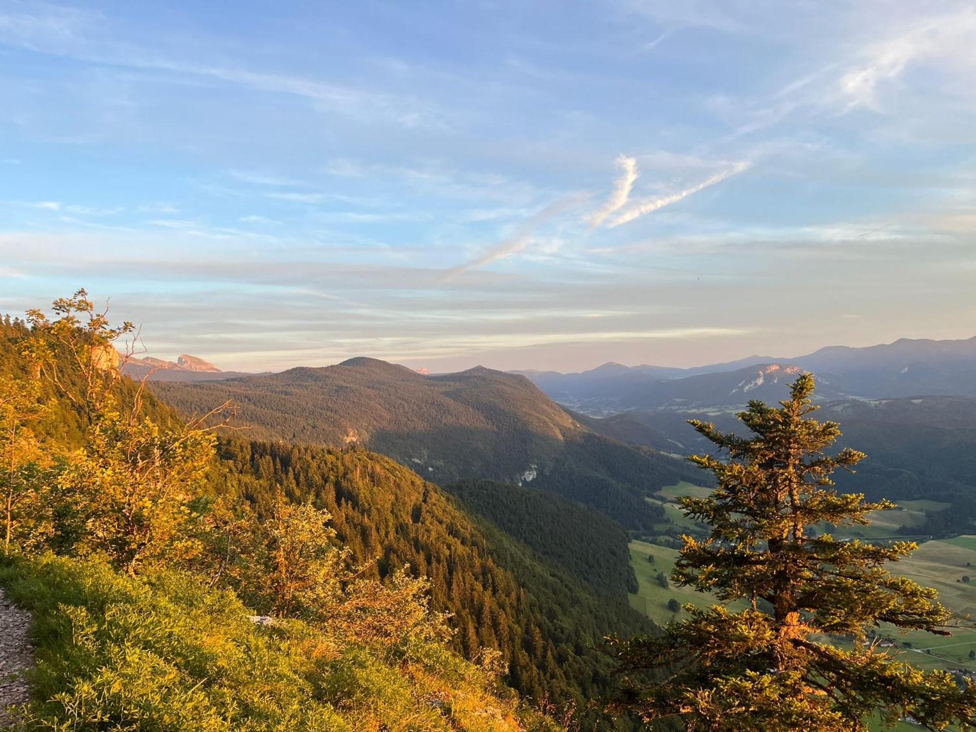 Gite La Morandiere Saint-Martin-en-Vercors エクステリア 写真