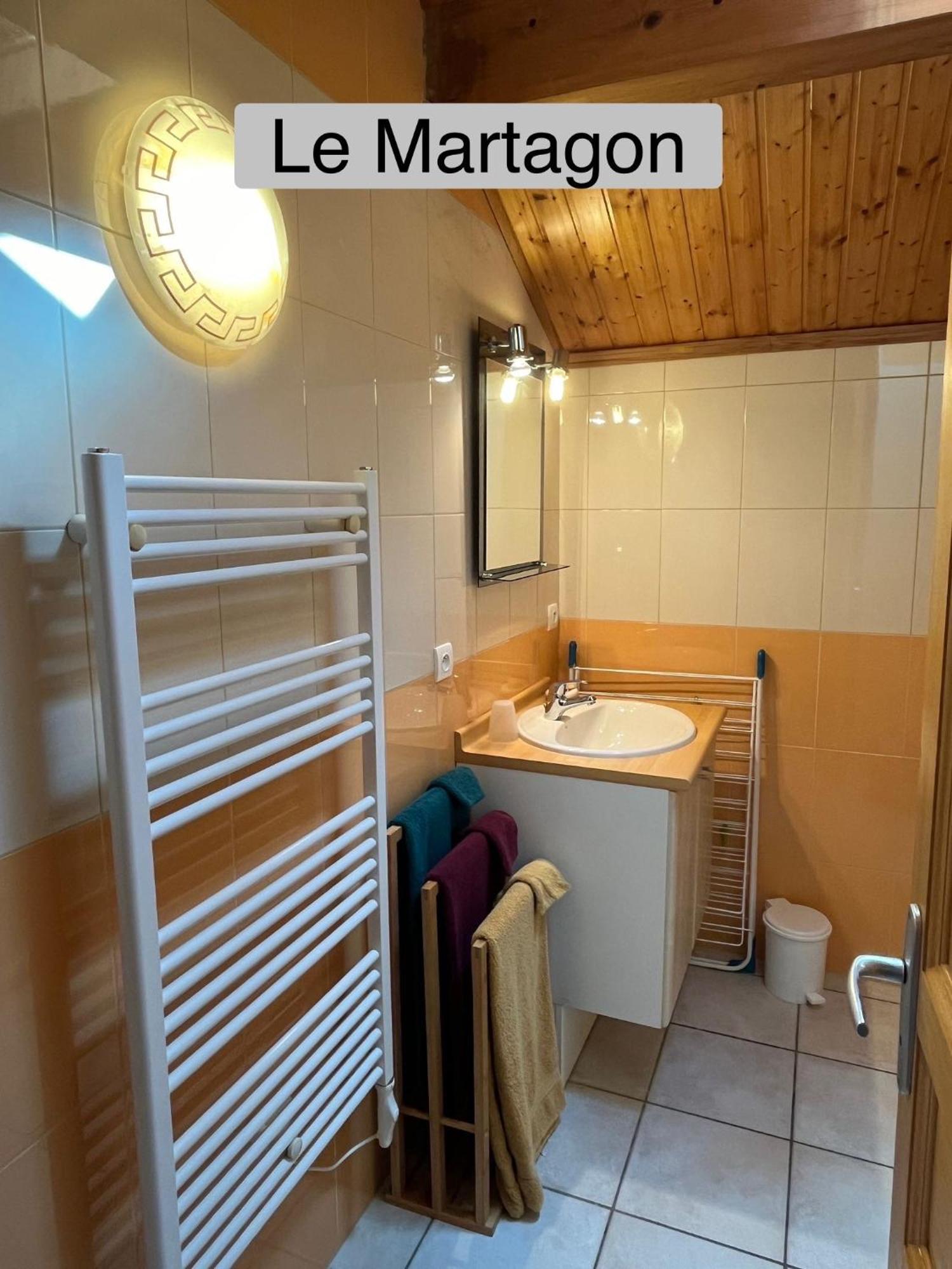 Gite La Morandiere Saint-Martin-en-Vercors エクステリア 写真